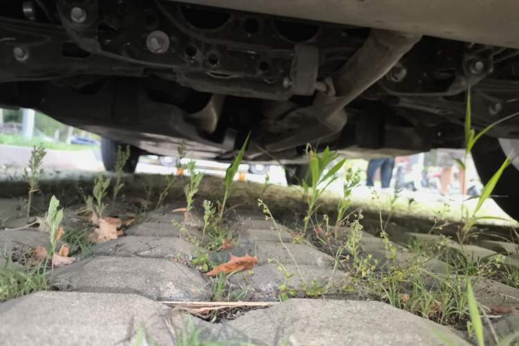 Used Toyota Wildlander 2023 2.0L CVT Two-Wheel Drive Luxury PLUS Edition Chassis Rear