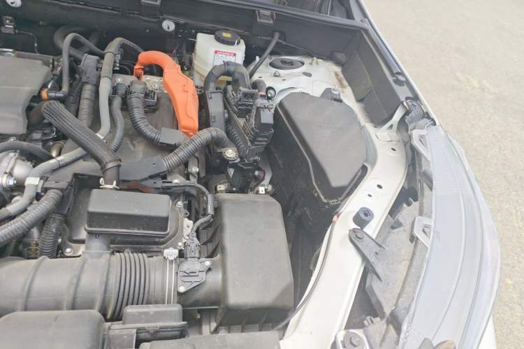 Used Toyota Wildlander 2023 Dual-Motor 2.5L E-CVT Four-Wheel Drive Prestige Edition Engine Bay Left