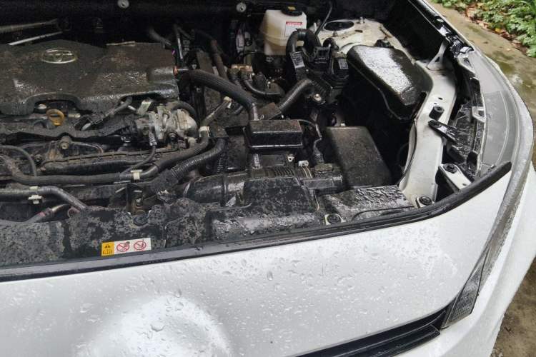 Used Toyota Wildlander 2023 Dual-Motor 2.5L E-CVT Two-Wheel Drive Luxury PLUS Edition Engine Bay Left