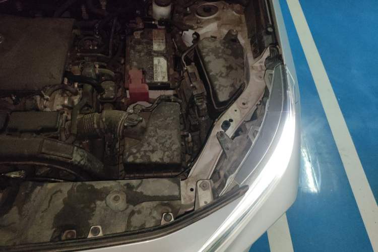 Used Toyota Wildlander 2023 2.0L CVT Two-Wheel Drive Leading Edition Engine Bay Left