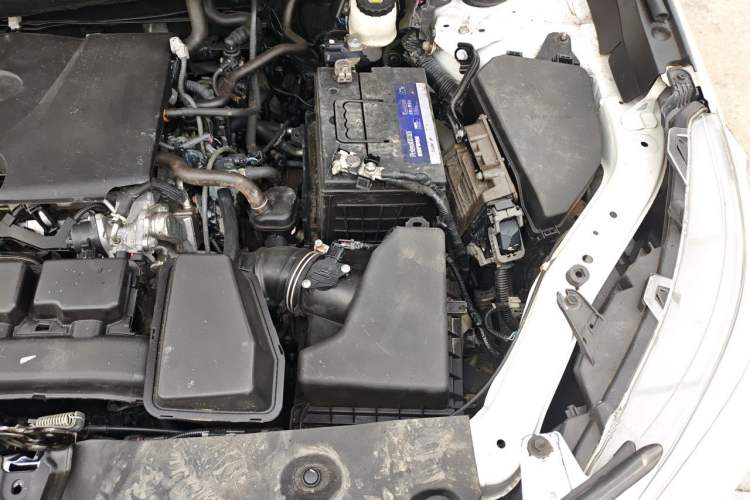 Used Toyota Wildlander 2023 2.0L CVT Two-Wheel Drive Luxury PLUS Edition Engine Bay Left