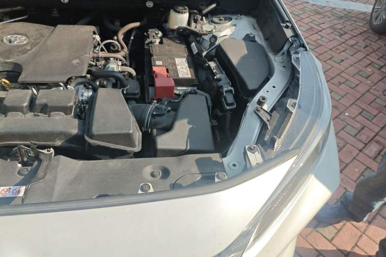 Used Toyota Wildlander 2023 2.0L CVT Two-Wheel Drive Leading Edition Engine Bay Left