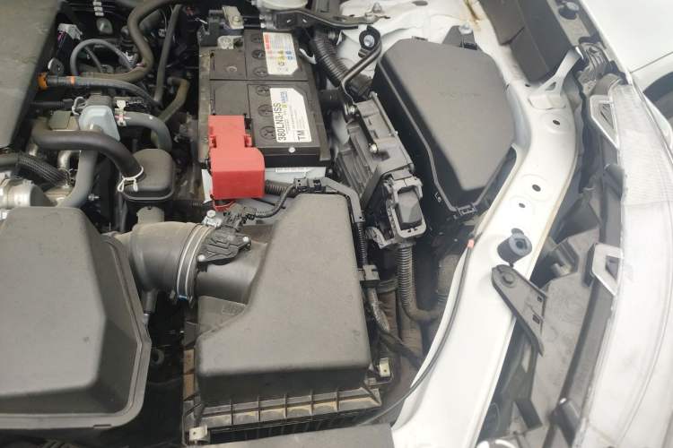 Used Toyota Wildlander 2023 2.0L CVT Two-Wheel Drive Leading Edition Engine Bay Left