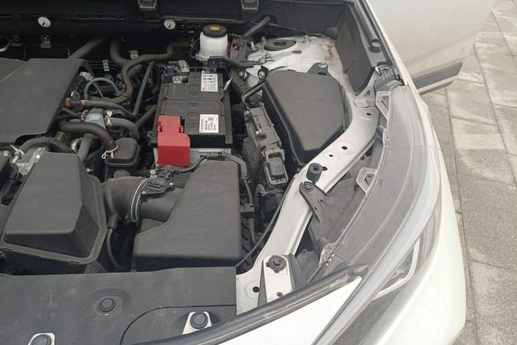 Used Toyota Wildlander 2023 2.0L CVT Two-Wheel Drive Luxury PLUS Edition Engine Bay Left