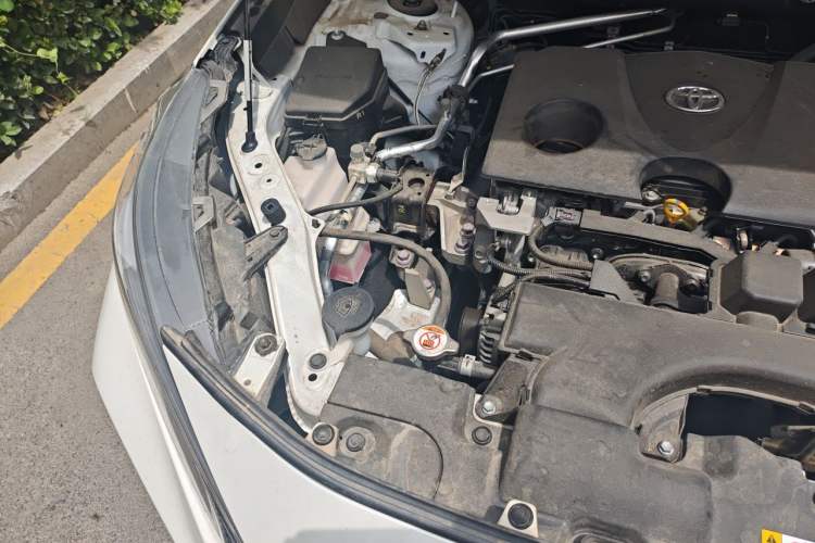 Used Toyota Wildlander 2023 2.0L CVT Two-Wheel Drive Leading Edition Engine Bay Right