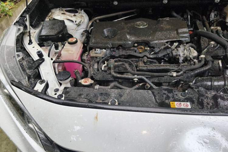 Used Toyota Wildlander 2023 Dual-Motor 2.5L E-CVT Two-Wheel Drive Luxury PLUS Edition Engine Bay Right