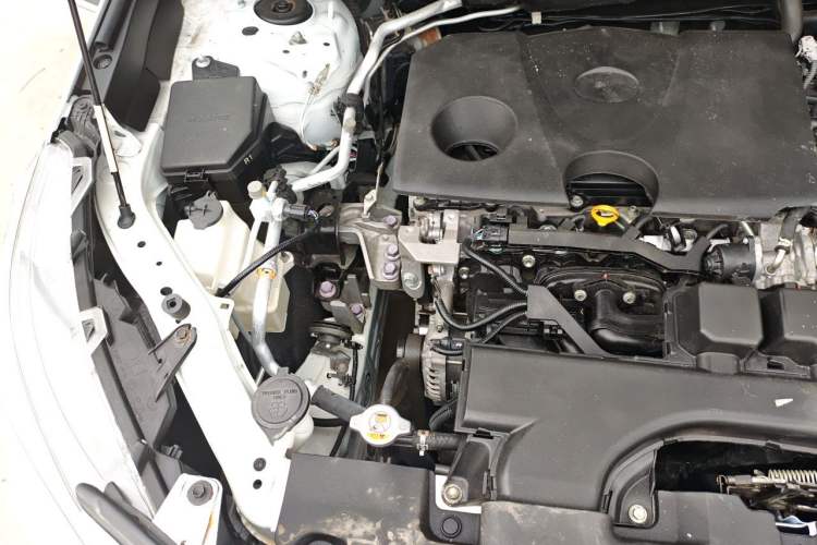Used Toyota Wildlander 2023 2.0L CVT Two-Wheel Drive Luxury PLUS Edition Engine Bay Right