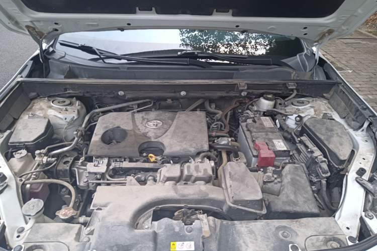 Used Toyota Wildlander 2023 2.0L CVT Two-Wheel Drive Leading Edition Engine Bay