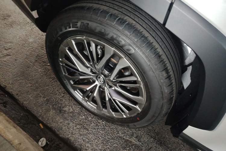 Used Toyota Wildlander 2023 2.0L CVT Four-Wheel Drive Luxury PLUS Edition Exterior 8