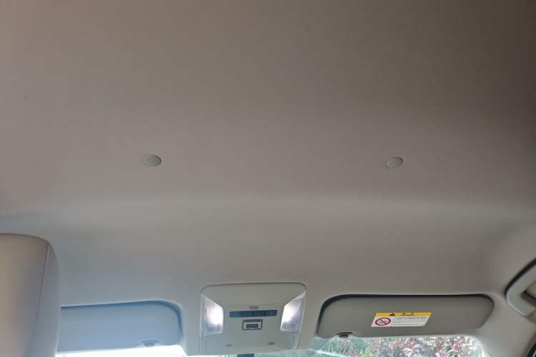 Used Toyota Wildlander 2023 2.0L CVT Two-Wheel Drive Leading Edition Headliner