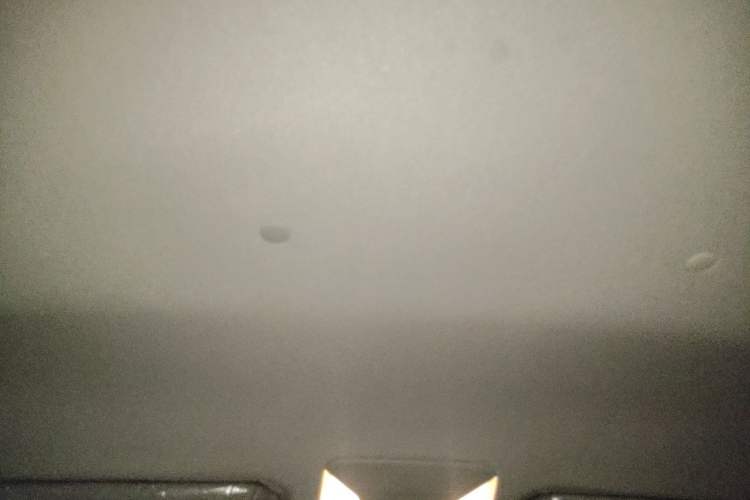 Used Toyota Wildlander 2023 2.0L CVT Two-Wheel Drive Leading Edition Headliner