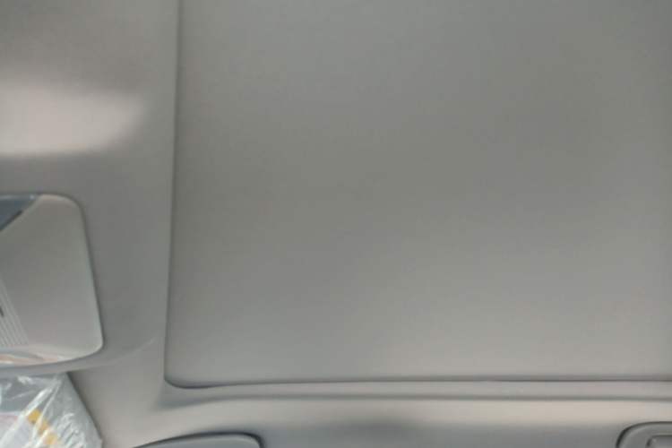 Used Toyota Wildlander 2023 2.0L CVT Four-Wheel Drive Luxury PLUS Edition Headliner