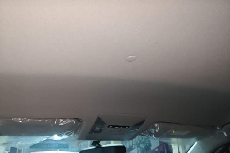 Used Toyota Wildlander 2023 2.0L CVT Two-Wheel Drive Leading Edition Headliner