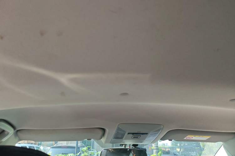 Used Toyota Wildlander 2023 2.0L CVT Two-Wheel Drive Leading Edition Headliner