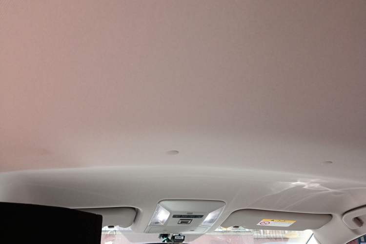 Used Toyota Wildlander 2023 2.0L CVT Two-Wheel Drive Leading Edition Headliner