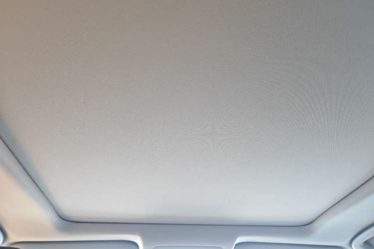 Used Toyota Wildlander 2023 2.0L CVT Four-Wheel Drive Luxury PLUS Edition Headliner