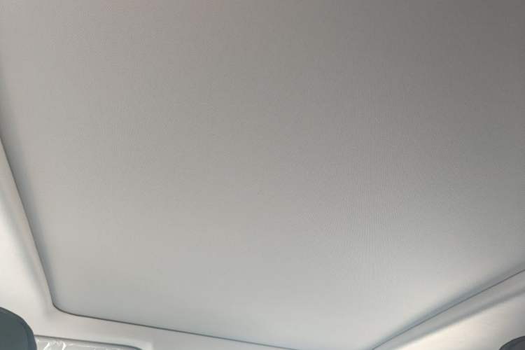 Used Toyota Wildlander 2023 2.0L CVT Two-Wheel Drive Luxury PLUS Edition Headliner