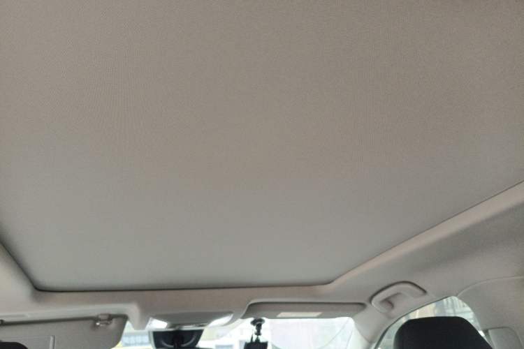 Used Toyota Wildlander 2023 2.0L CVT Two-Wheel Drive Luxury PLUS Edition Headliner