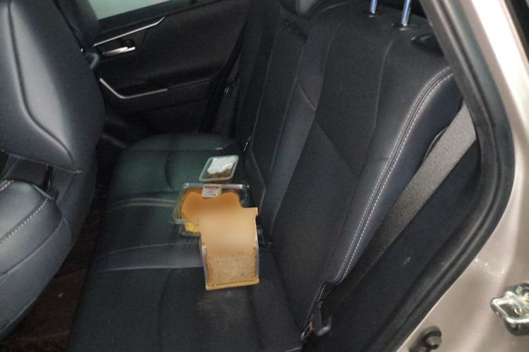 Used Toyota Wildlander 2023 2.0L CVT Two-Wheel Drive Urban Edition Left Rear Seat