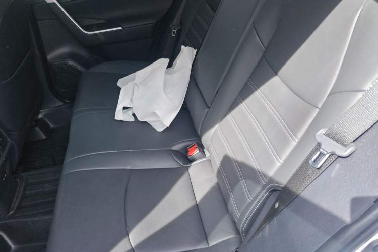 Used Toyota Wildlander 2023 2.0L CVT Two-Wheel Drive Luxury PLUS Edition Left Rear Seat