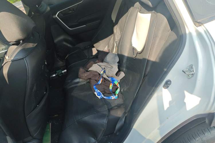 Used Toyota Wildlander 2023 2.0L CVT Two-Wheel Drive Leading Edition Left Rear Seat