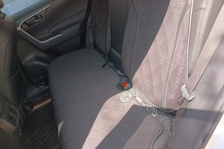 Used Toyota Wildlander 2023 2.0L CVT Two-Wheel Drive Leading Edition Left Rear Seat