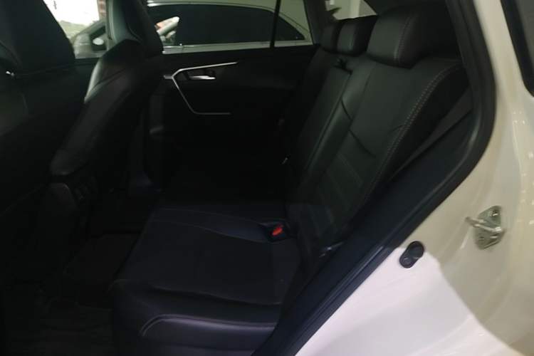 Used Toyota Wildlander 2023 Dual-Motor 2.5L E-CVT Four-Wheel Drive Prestige Edition Left Rear Seat