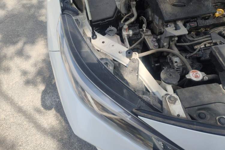 Used Toyota Wildlander 2023 2.0L CVT Two-Wheel Drive Luxury PLUS Edition Right Front Headlight