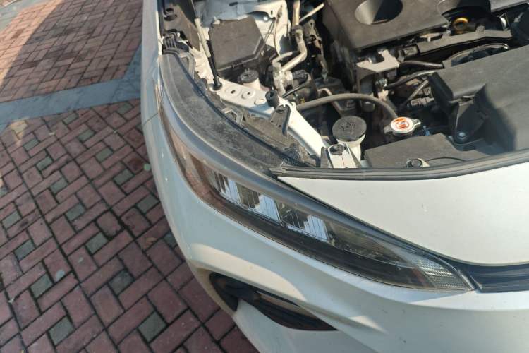 Used Toyota Wildlander 2023 2.0L CVT Two-Wheel Drive Leading Edition Right Front Headlight