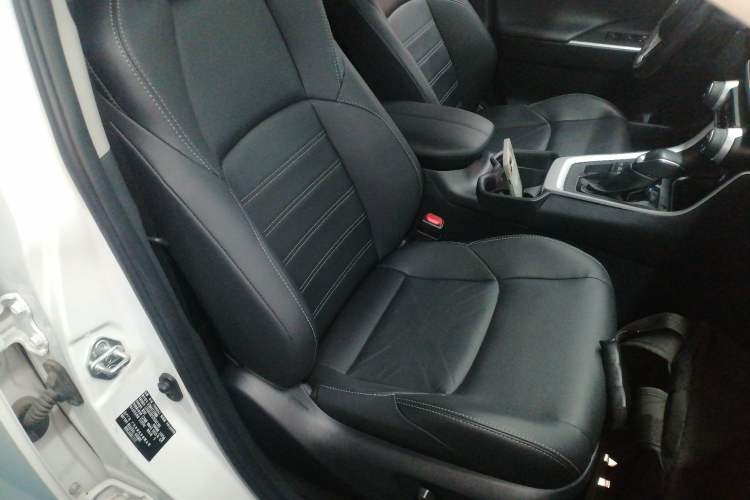 Used Toyota Wildlander 2023 2.0L CVT Four-Wheel Drive Luxury PLUS Edition Right Front Seat
