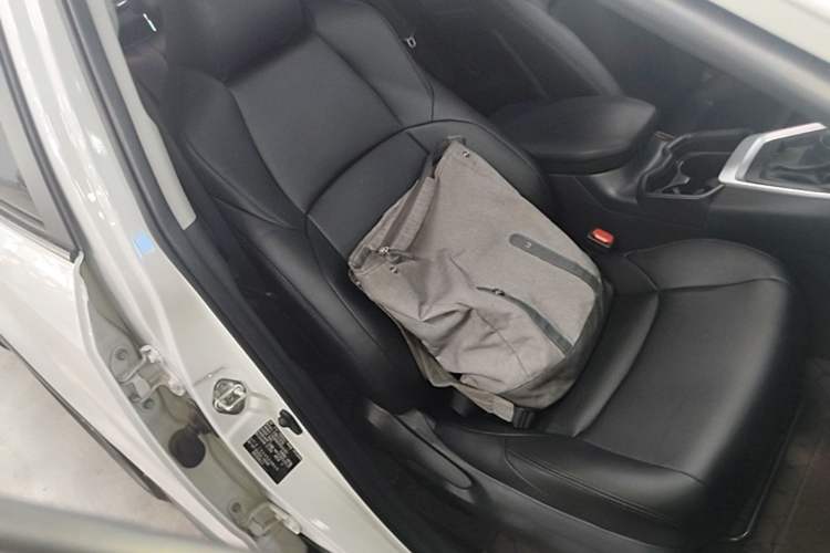 Used Toyota Wildlander 2023 2.0L CVT Two-Wheel Drive Leading Edition Right Front Seat