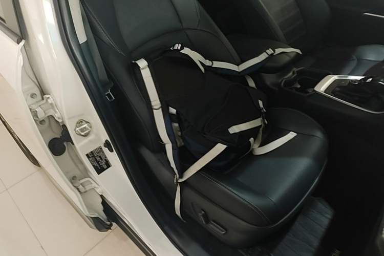 Used Toyota Wildlander 2023 Dual-Motor 2.5L E-CVT Four-Wheel Drive Prestige Edition Right Front Seat