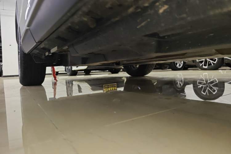 Used Toyota Wildlander 2023 2.0L CVT Two-Wheel Drive Luxury PLUS Edition Right Side Sill