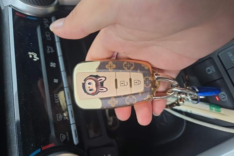 Used Toyota Wildlander 2023 Dual-Engine 2.5L E-CVT Two-Wheel Drive Urban Edition Vehicle Key