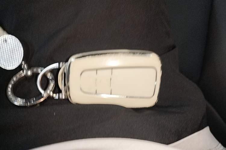 Used Toyota Wildlander 2023 2.0L CVT Two-Wheel Drive Luxury PLUS Edition Vehicle Key