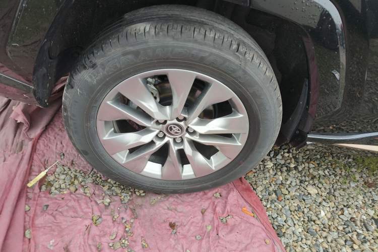 Used Toyota Wildlander 2024 2.0L CVT Two-Wheel Drive Urban Edition Exterior 5