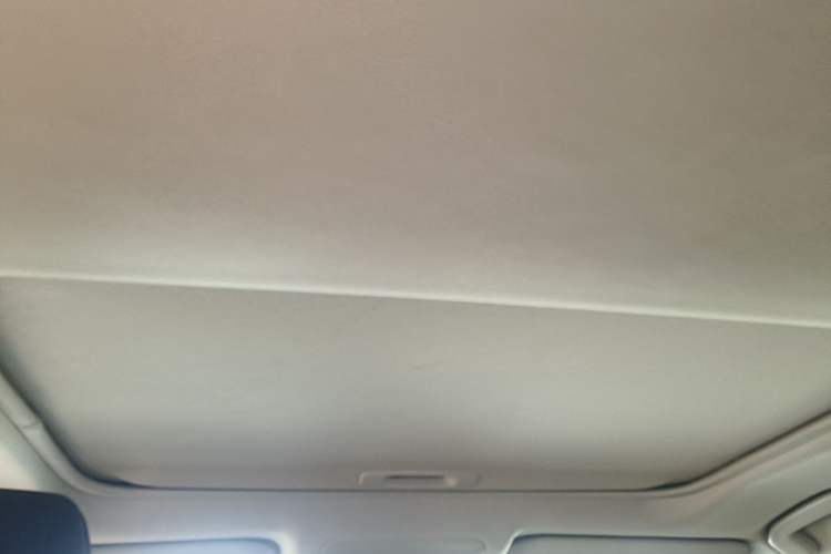 Used Toyota Wildlander 2024 2.0L CVT Two-Wheel Drive Urban Edition Headliner