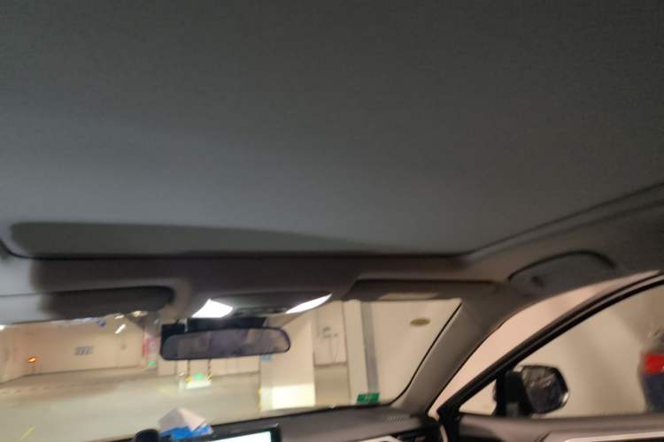 Used Toyota Wildlander 2024 2.0L CVT Two-Wheel Drive Luxury PLUS Edition Headliner