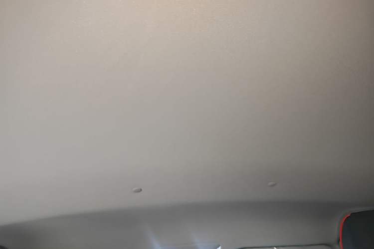 Used Toyota Wildlander 2024 2.0L CVT Two-Wheel Drive Leading Edition Headliner