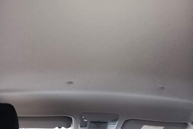 Used Toyota Wildlander 2024 2.0L CVT Two-Wheel Drive Leading Edition Headliner