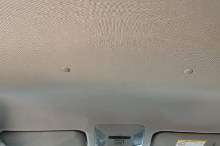 Used Toyota Wildlander 2024 2.0L CVT Two-Wheel Drive Leading Edition Headliner