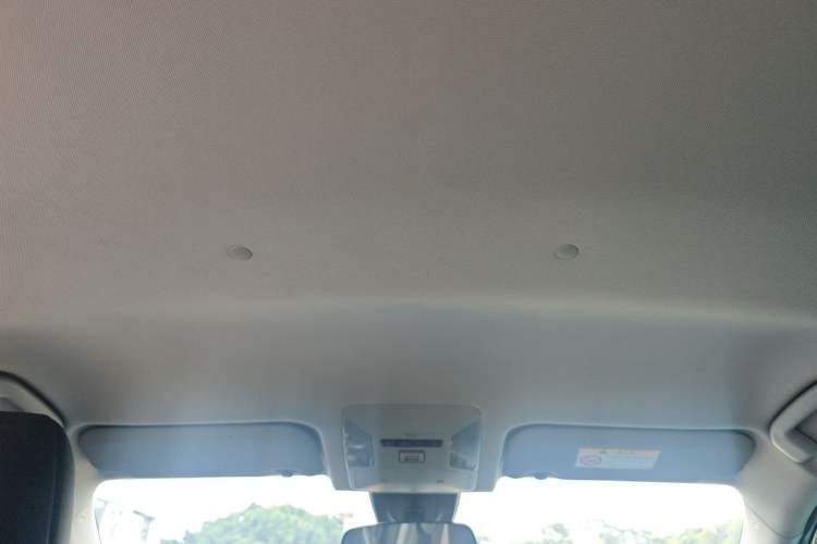 Used Toyota Wildlander 2024 2.0L CVT Two-Wheel Drive Leading Edition Headliner