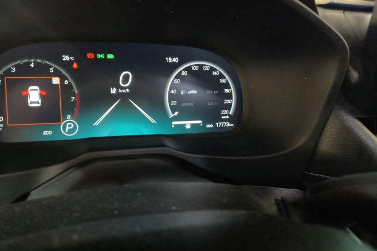 Used Toyota Wildlander 2024 2.0L CVT Two-Wheel Drive Luxury PLUS Edition Odometer Close Up