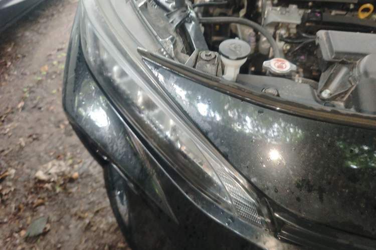 Used Toyota Wildlander 2024 2.0L CVT Two-Wheel Drive Leading Edition Right Front Headlight