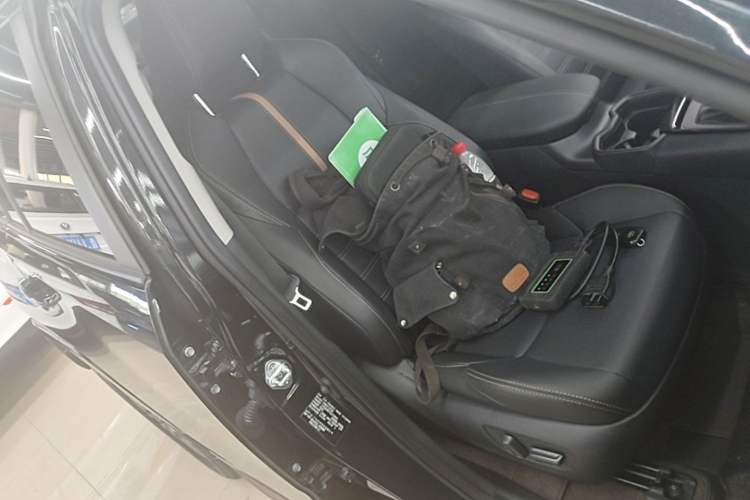 Used Toyota Wildlander 2024 2.0L CVT Two-Wheel Drive Luxury PLUS Edition Right Front Seat