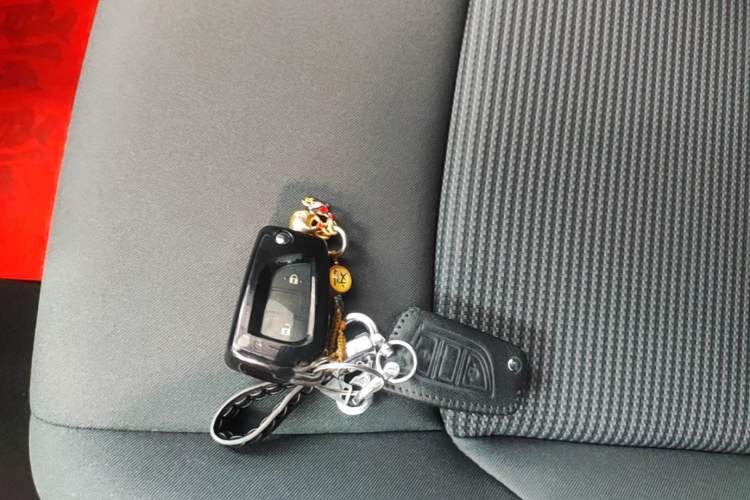 Used Toyota Wildlander 2024 2.0L CVT Two-Wheel Drive Leading Edition Vehicle Key