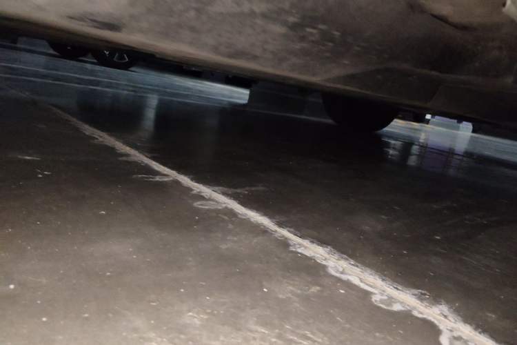 Used Toyota Wildlander 2024 2.0L CVT Two-Wheel Drive Leading Edition Chassis Rear Right