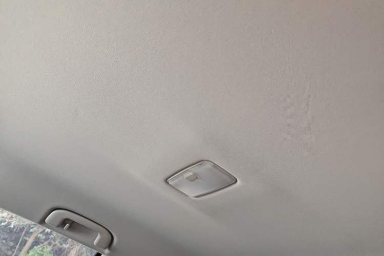 Used Toyota Wildlander 2024 2.0L CVT Two-Wheel Drive Leading Edition Headliner