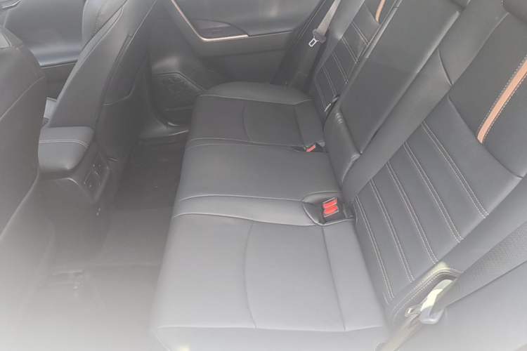 Used Toyota Wildlander 2024 2.0L CVT Two-Wheel Drive Luxury PLUS Edition Left Rear Seat