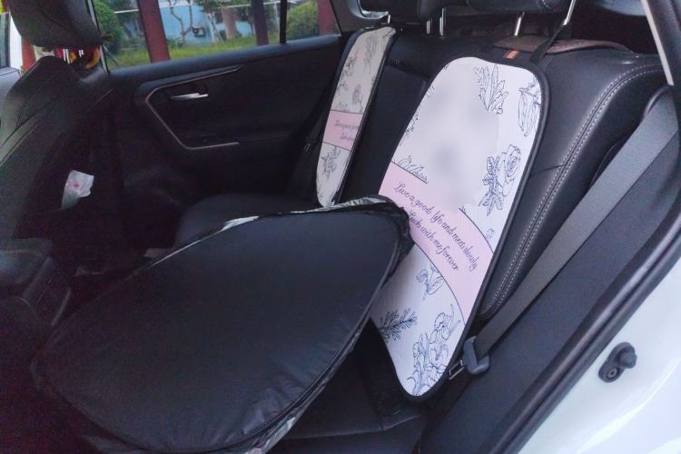 Used Toyota Wildlander 2024 2.0L CVT Two-Wheel Drive Luxury PLUS Edition Left Rear Seat